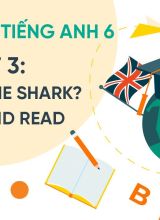 Unit 3 Wheres the shark - Listen and read - Tiếng Anh 6  -  Hoc10